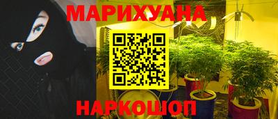 тгк Бердск