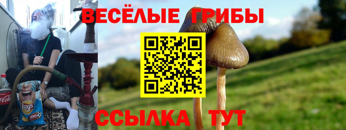 Псилоцибиновые грибы прущие грибы  Псилоцибиновые грибы Cubensis  Вход с VPN  Ижевск 